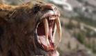 Ice Age Giants