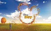 disney_idents_creative_review