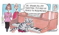 Cartoon