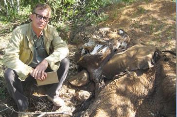 Unreported World: End Of The Elephant?