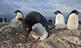 frozen_planet_2