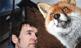 Foxes Live: Wild in the City