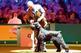 Crufts