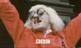 Jimmy Savile