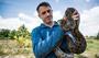 Discovery orders man-eating python doc